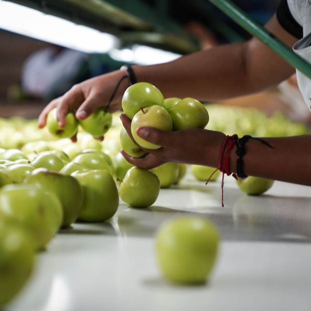 Manzanas
