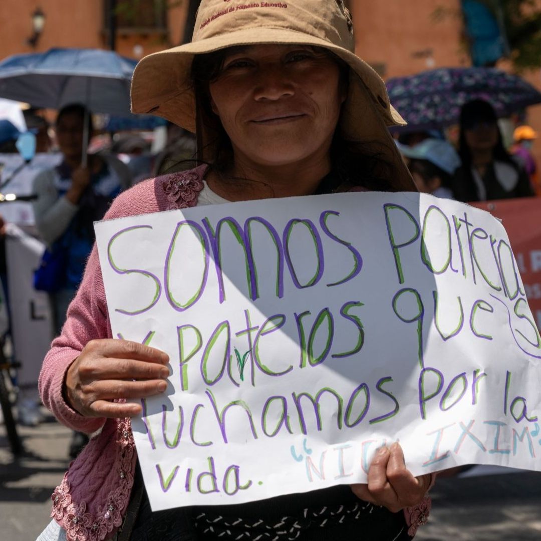 Protesta de parteras
