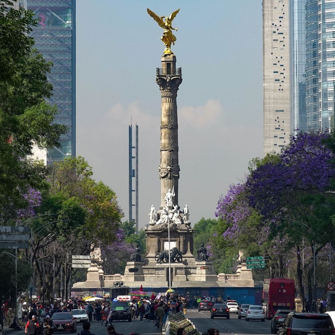 Marcha Paseo de la Reforma