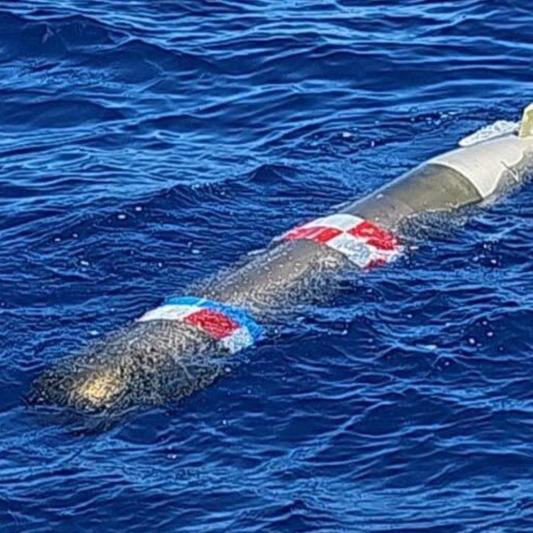 Torpedo asegurado en México