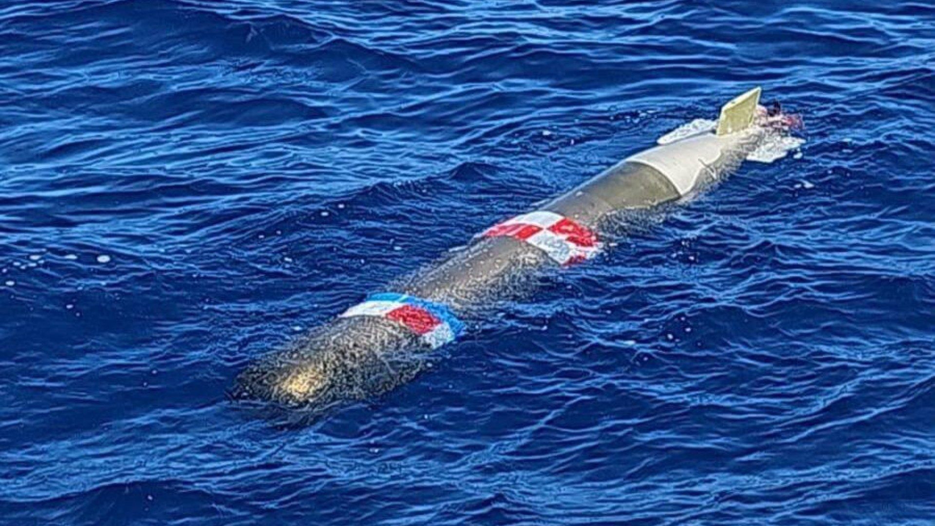 Marina Entrega a EUA Torpedo de Prácticas Localizado en Costas de Baja California| N+