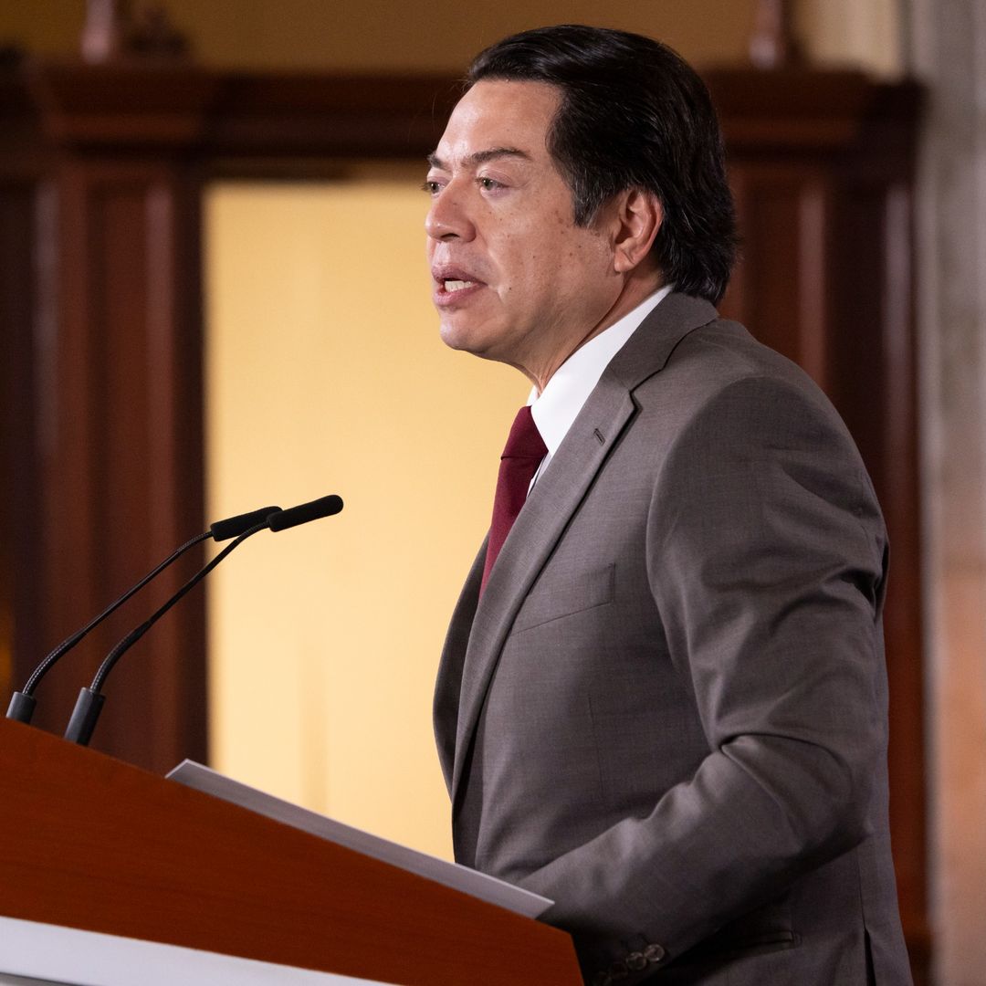 Mario Delgado, secretario de Educación Pública