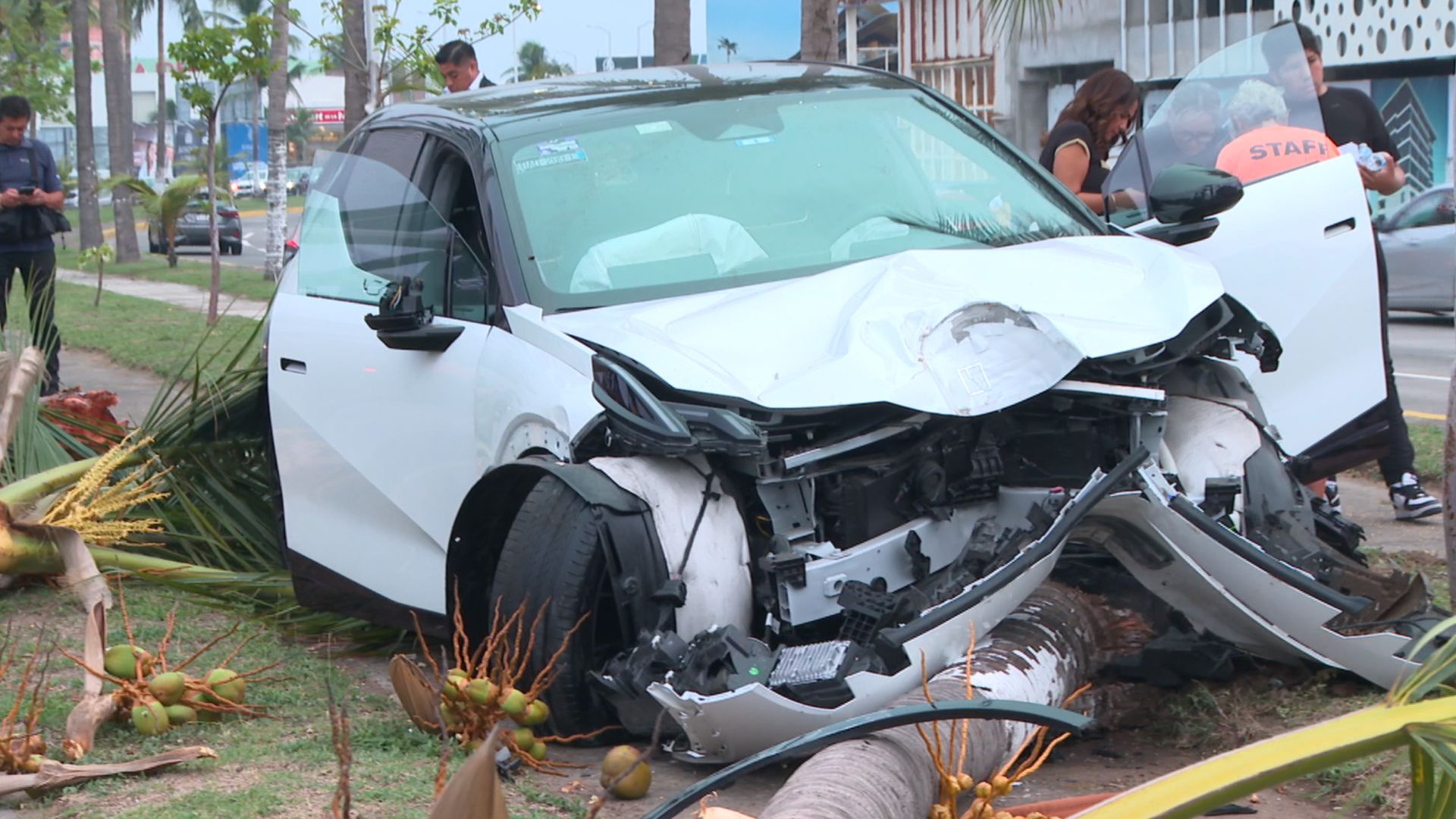 Menor de Edad Choca Camioneta y Derriba Palmera en Bulevar de Boca del Río, Veracruz