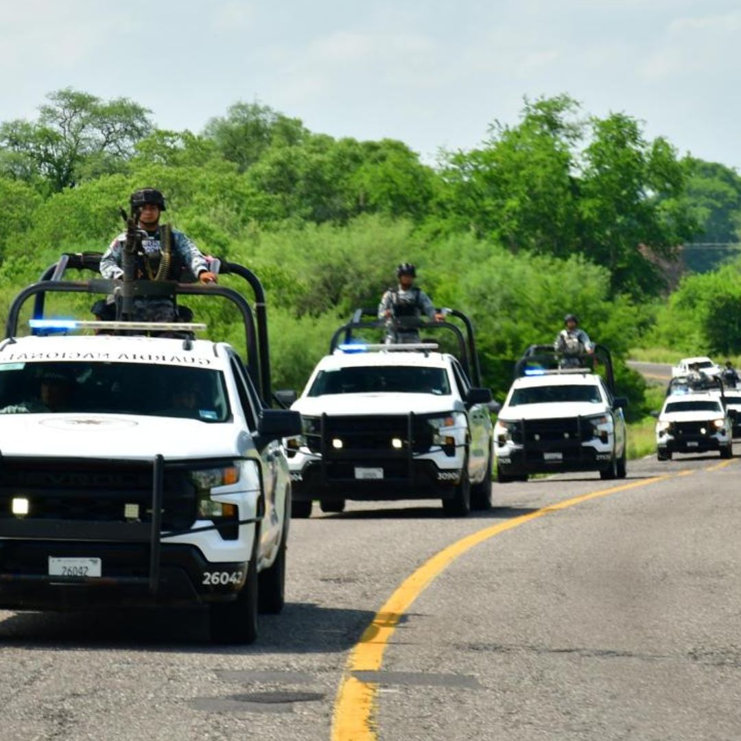 Despliegan 1500 agentes en Michoacán por Alerta de EUA: Mapa de Zonas Productoras de Aguacate