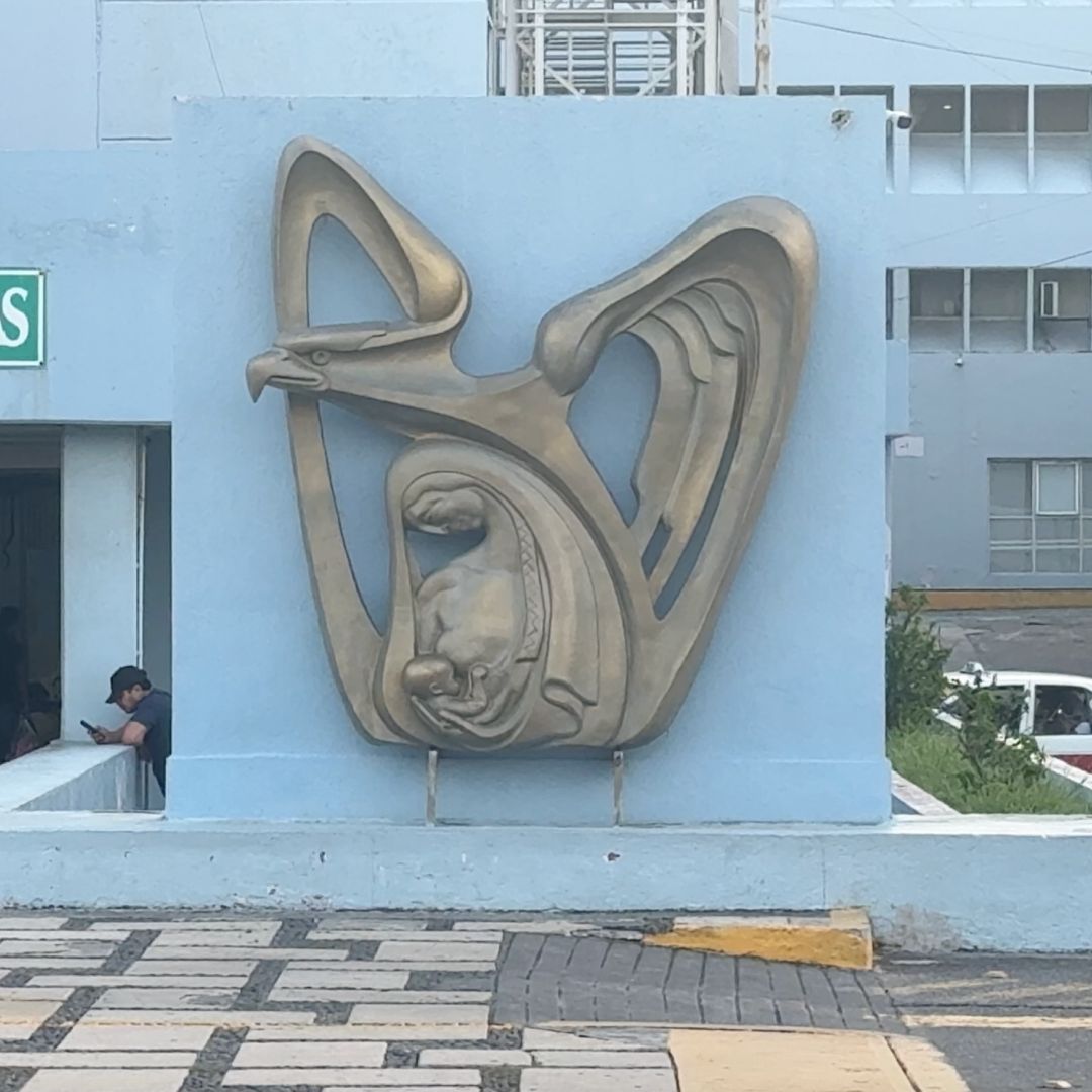 Muere Menor de 14 Años en IMSS Veracruz; Fue Diagnosticado con Viruela Símica