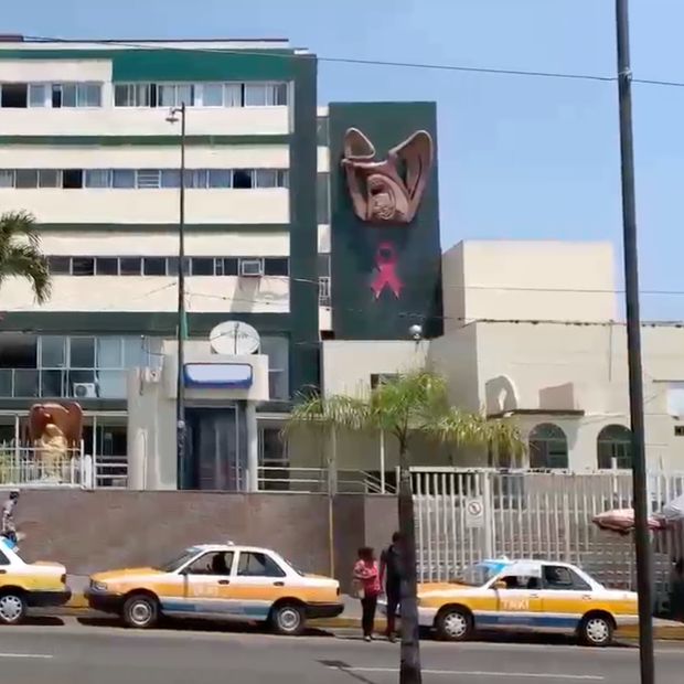 Muere Trabajador tras Caer de un Poste que Después le Cayó Encima en Córdoba