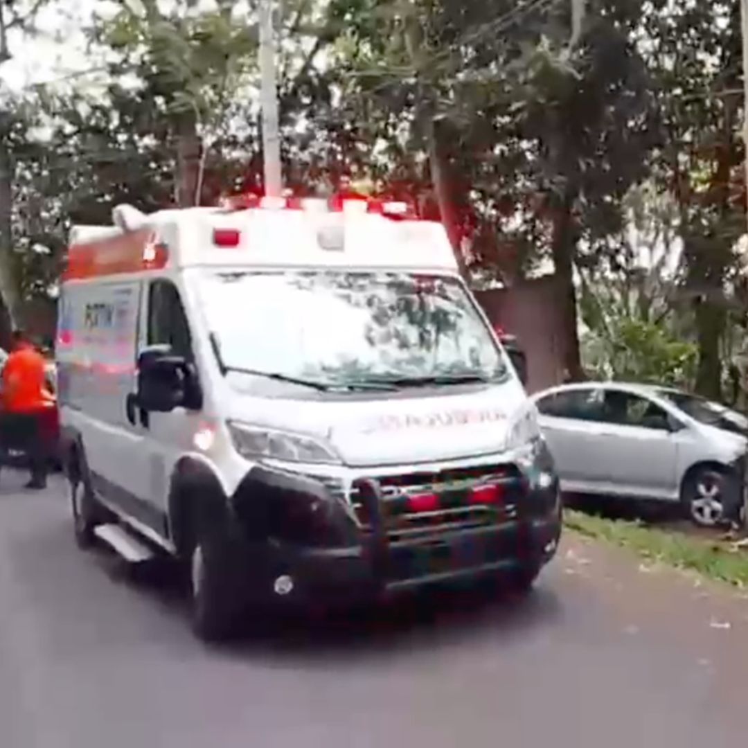 Mujer y Perro Mueren Atropellados en Fortín; Una Menor Terminó Lesionada