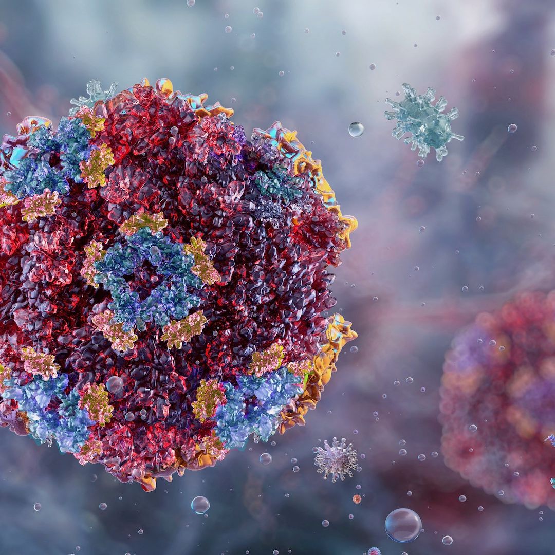 Ilustración de un norovirus