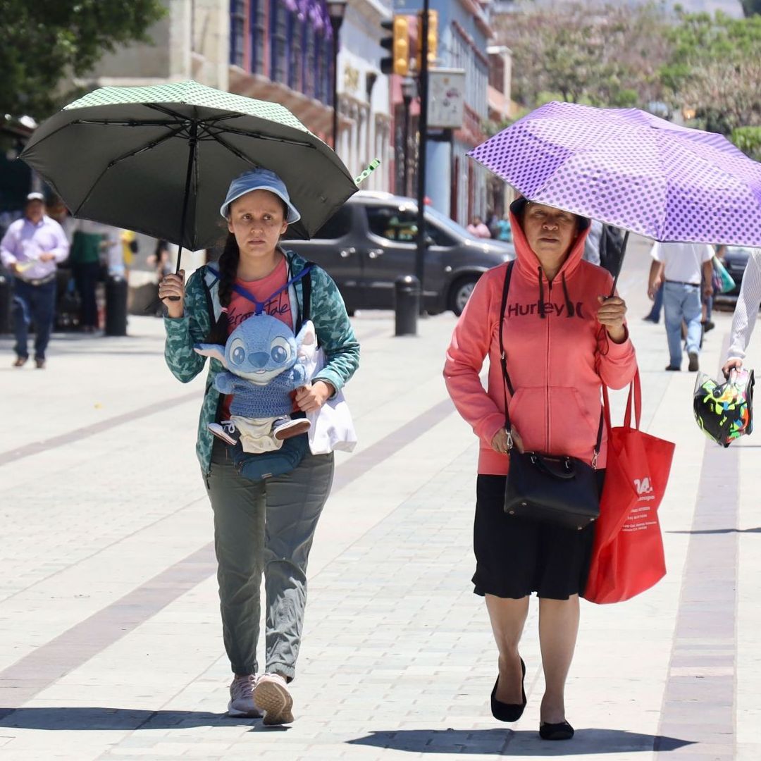 La nueva onda de calor provocará severas afectaciones en varias entidades