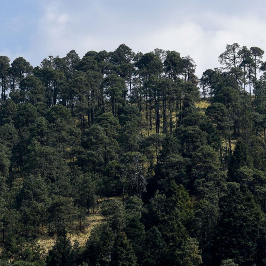 Ocoyoacac, Estado de México.