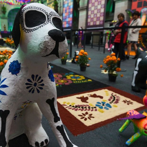 Ofrenda Mascotas 2026 Día de Muertos.