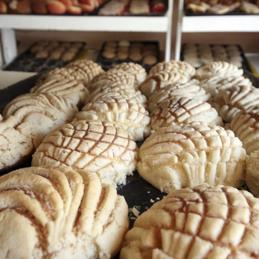 Una charola de conchas de azúcar en una panadería