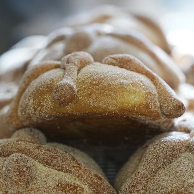 Qué Significa Pan Muerto en Ofrenda Cuándo se Puede Comer. Día de Muertos 2026