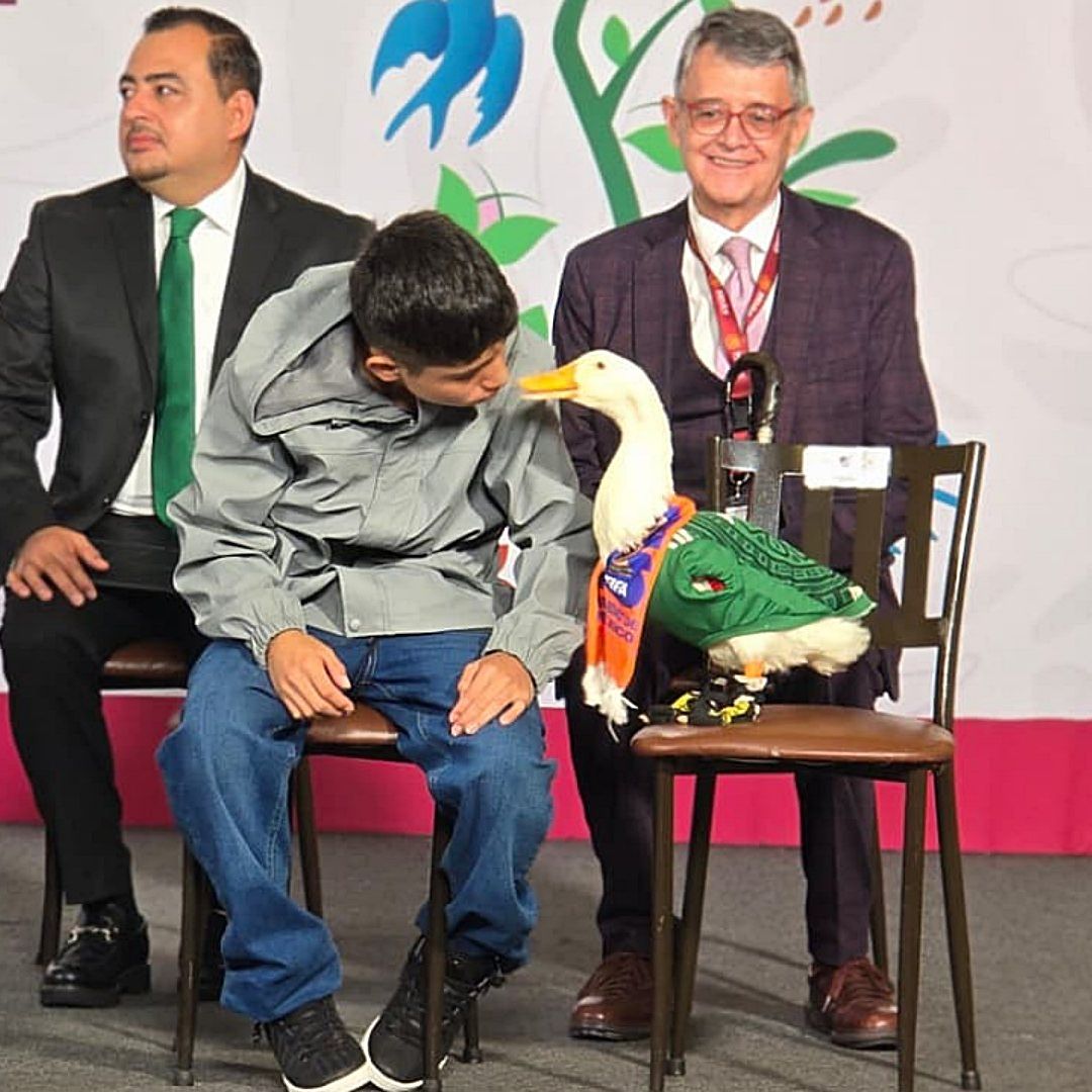Pato Merlín en la conferencia de prensa mañanera de la presidenta Claudia Sheinbaum el 22 de junio 2026. Foto: N+