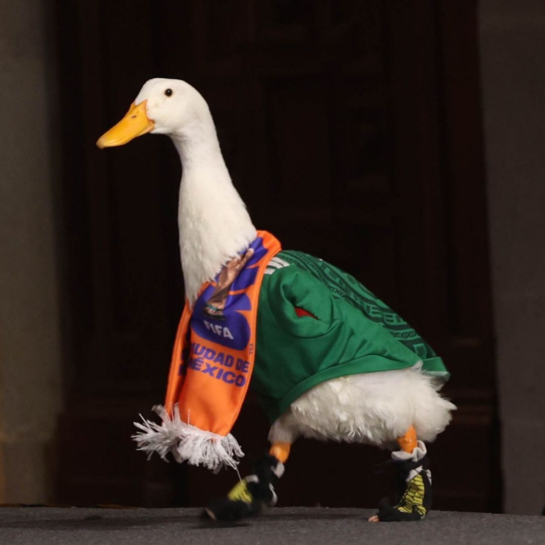 Pato Merlín en la conferencia mañanera de hoy, 22 de junio 2026