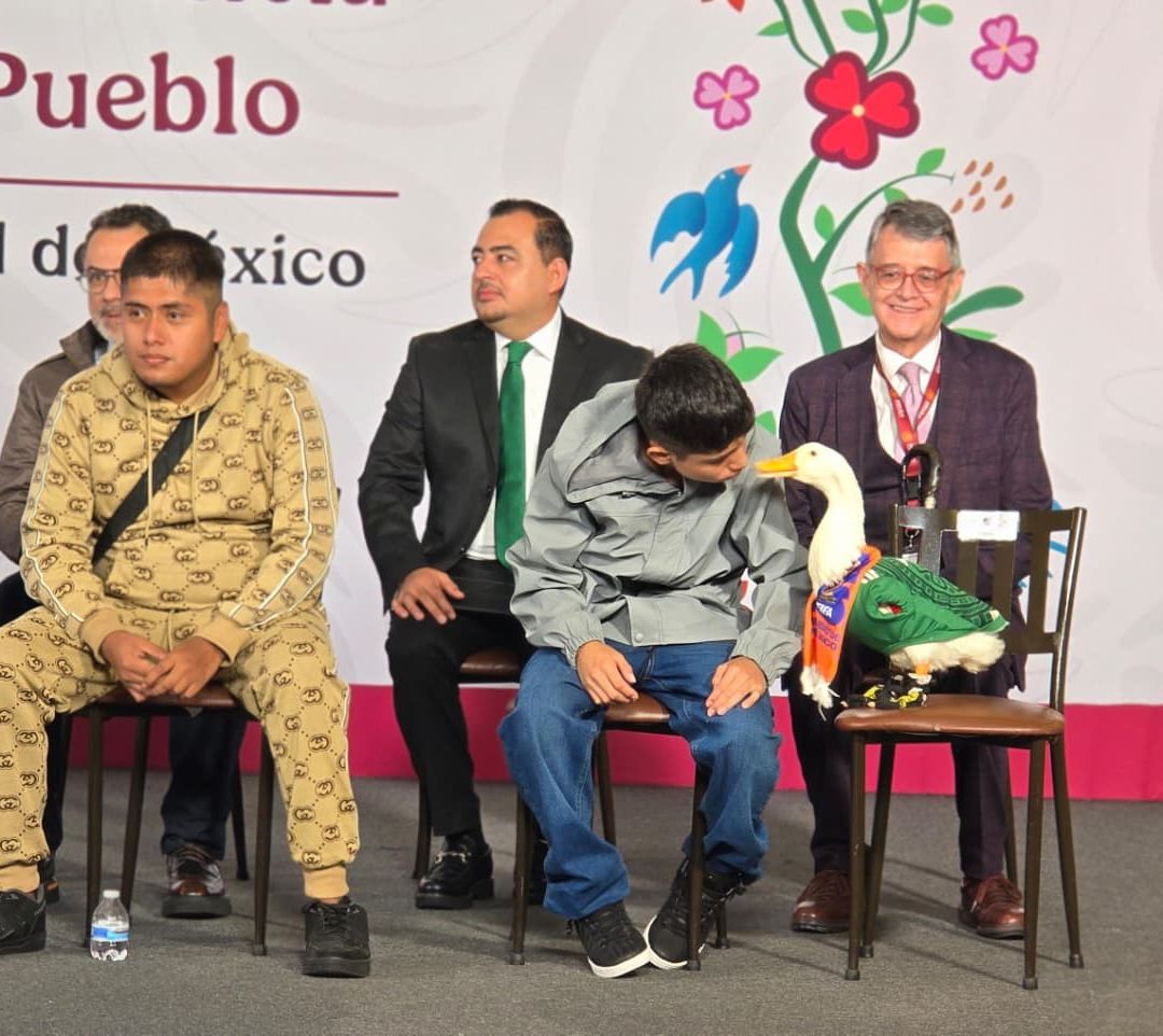 Pato Merlín