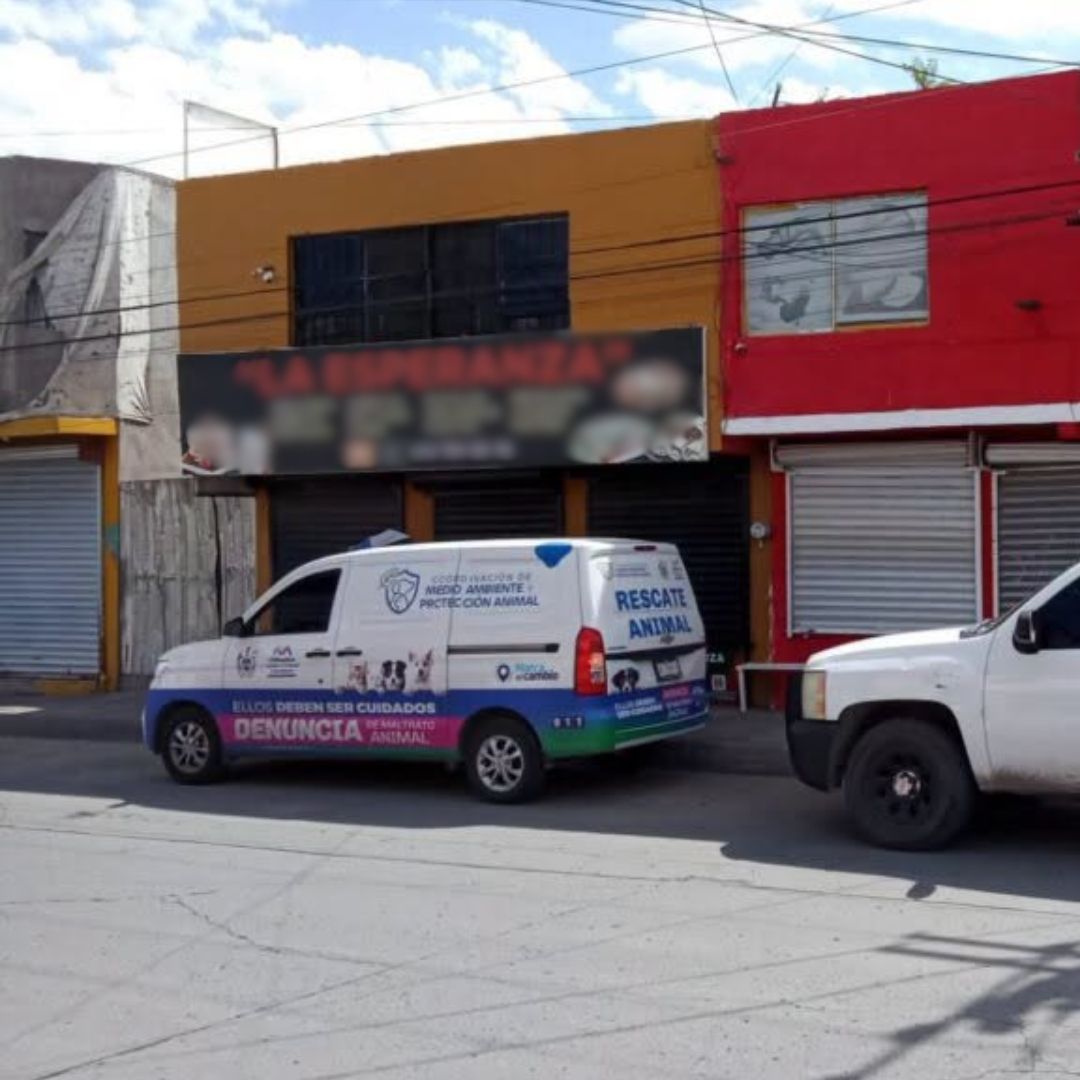 Se puso una multa por maltrato animal