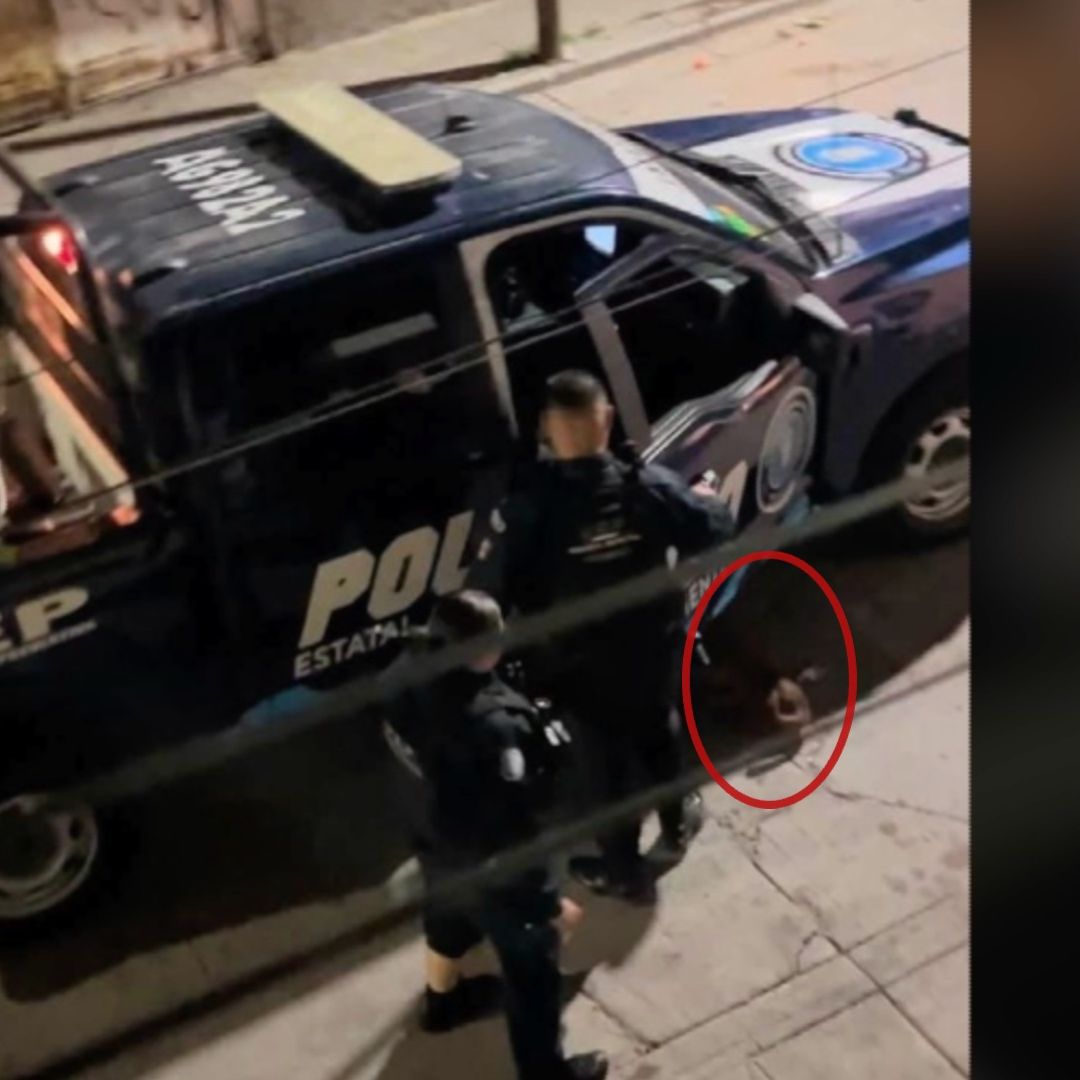 Perro asesinado en Aguascalientes