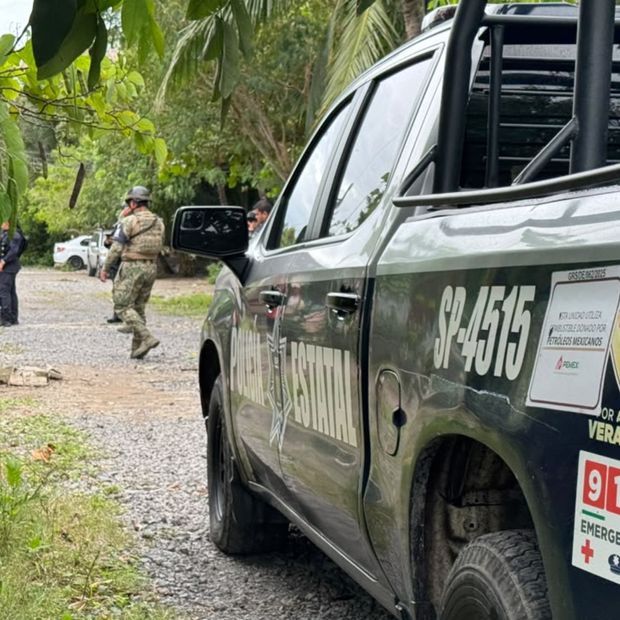 Perro es Asesinado a Balazos en Veracruz; Era la Mascota de Una Niña con Autismo