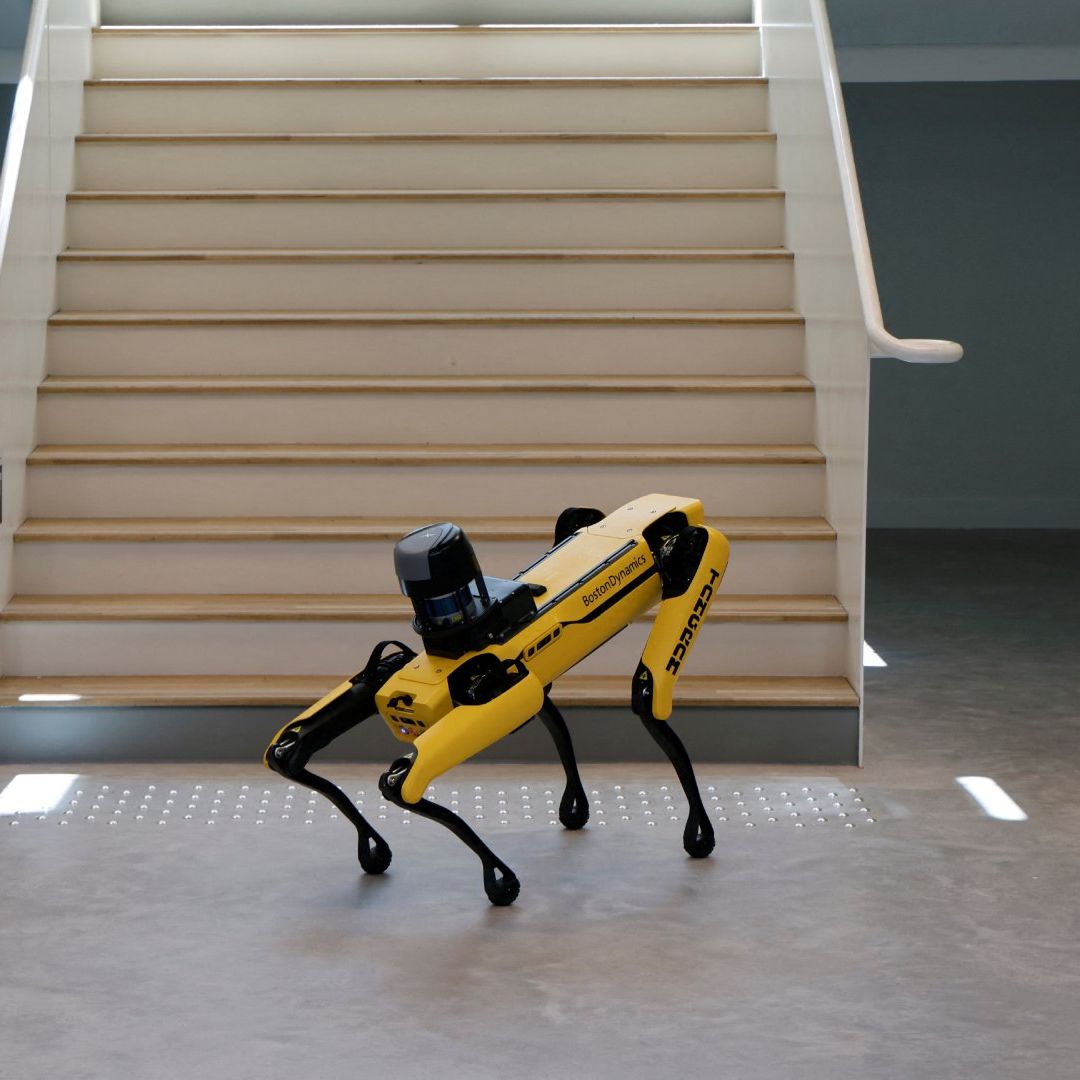 Perro robot