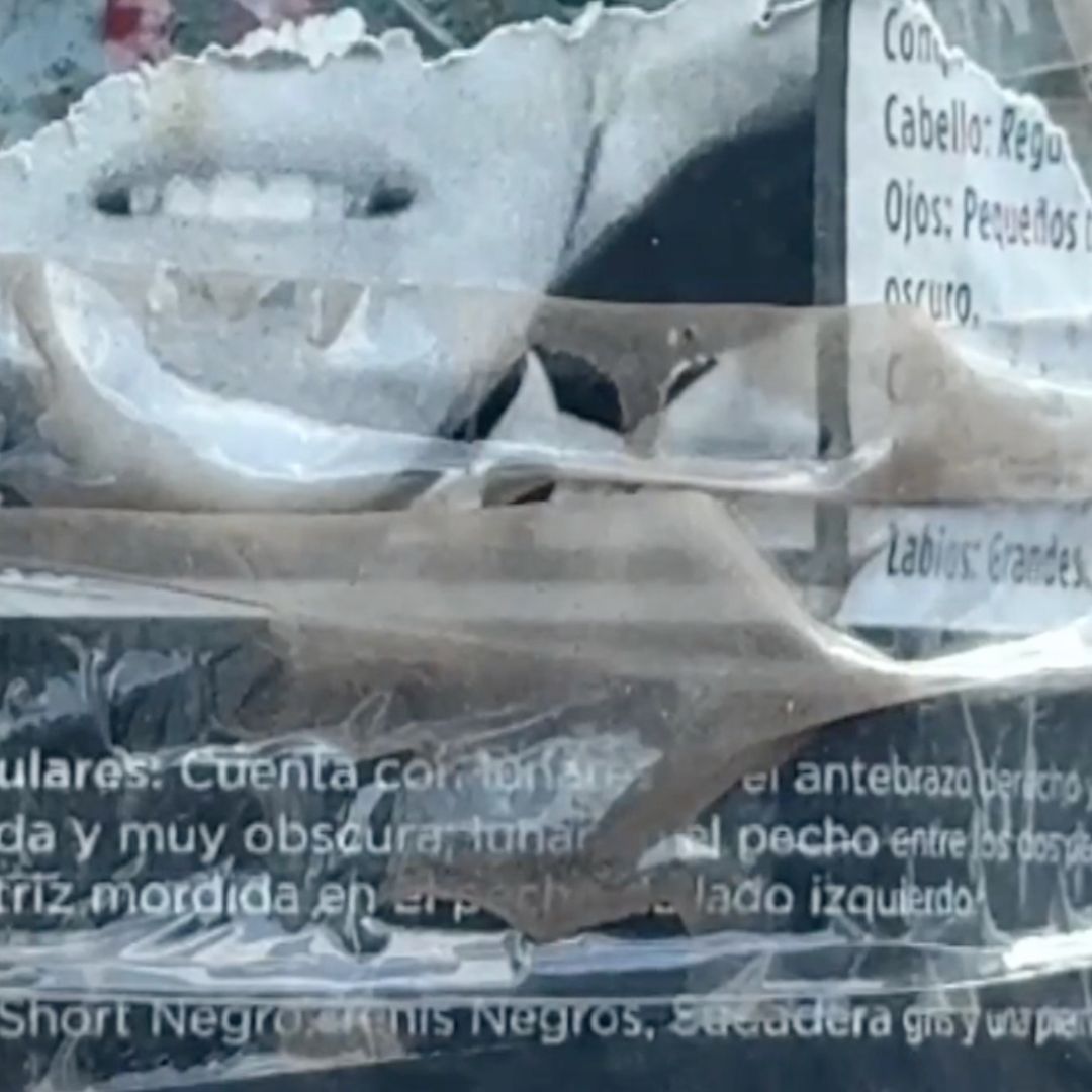 especialistas advierten que las desapariciones siguen siendo un reto