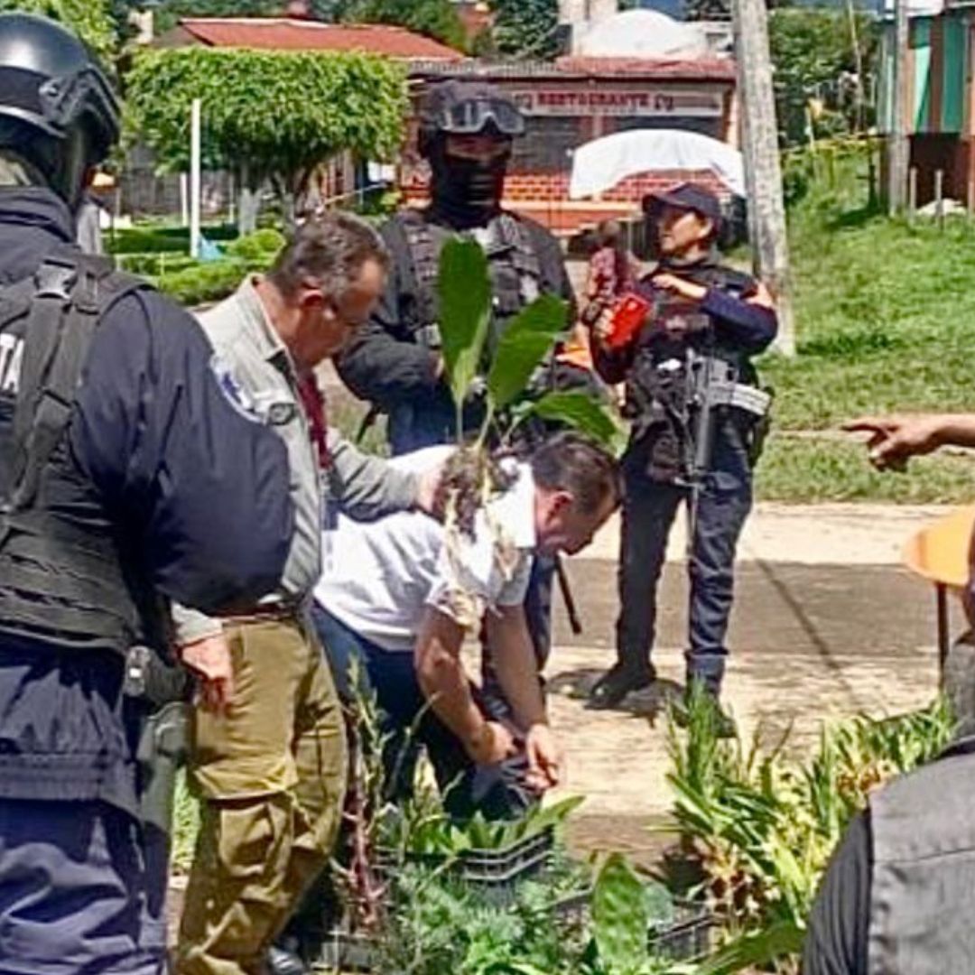 Asegurados 171 Plantas Silvestres Tenango de las Flores Huauchinango Puebla