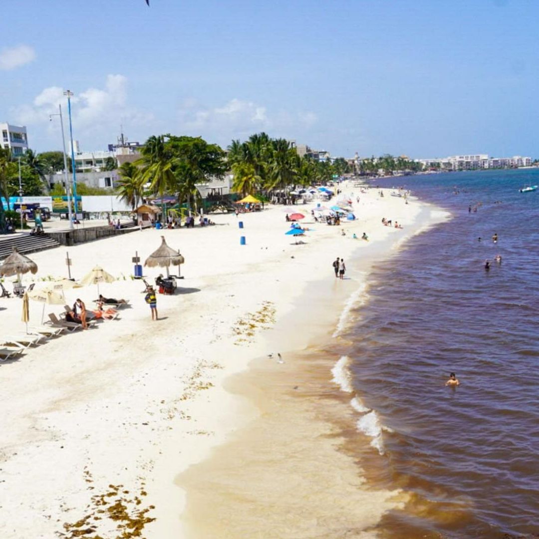 Bacteria comercarne se transmite en playas de baja salinidad