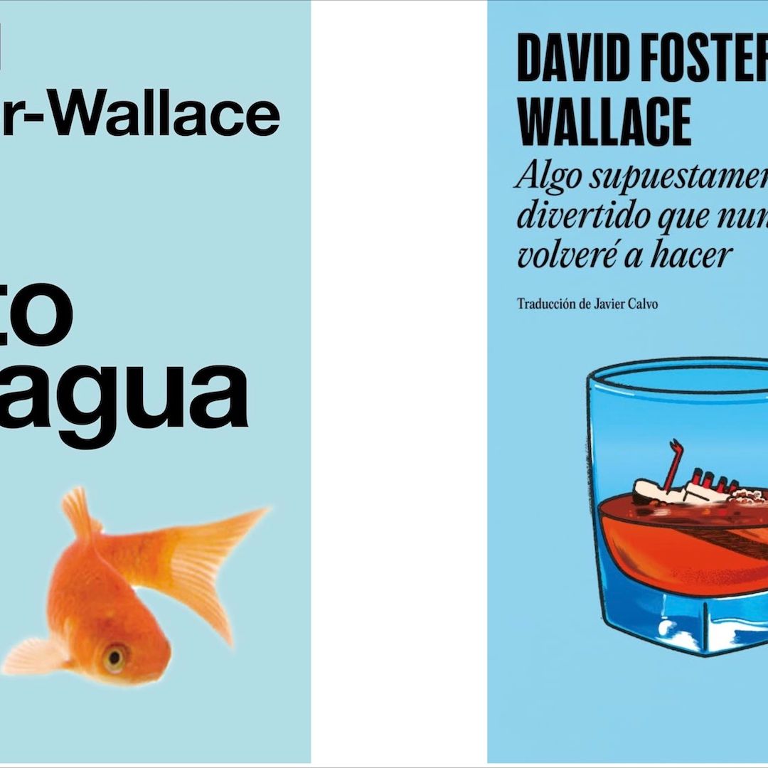 Libros de David Foster Wallace