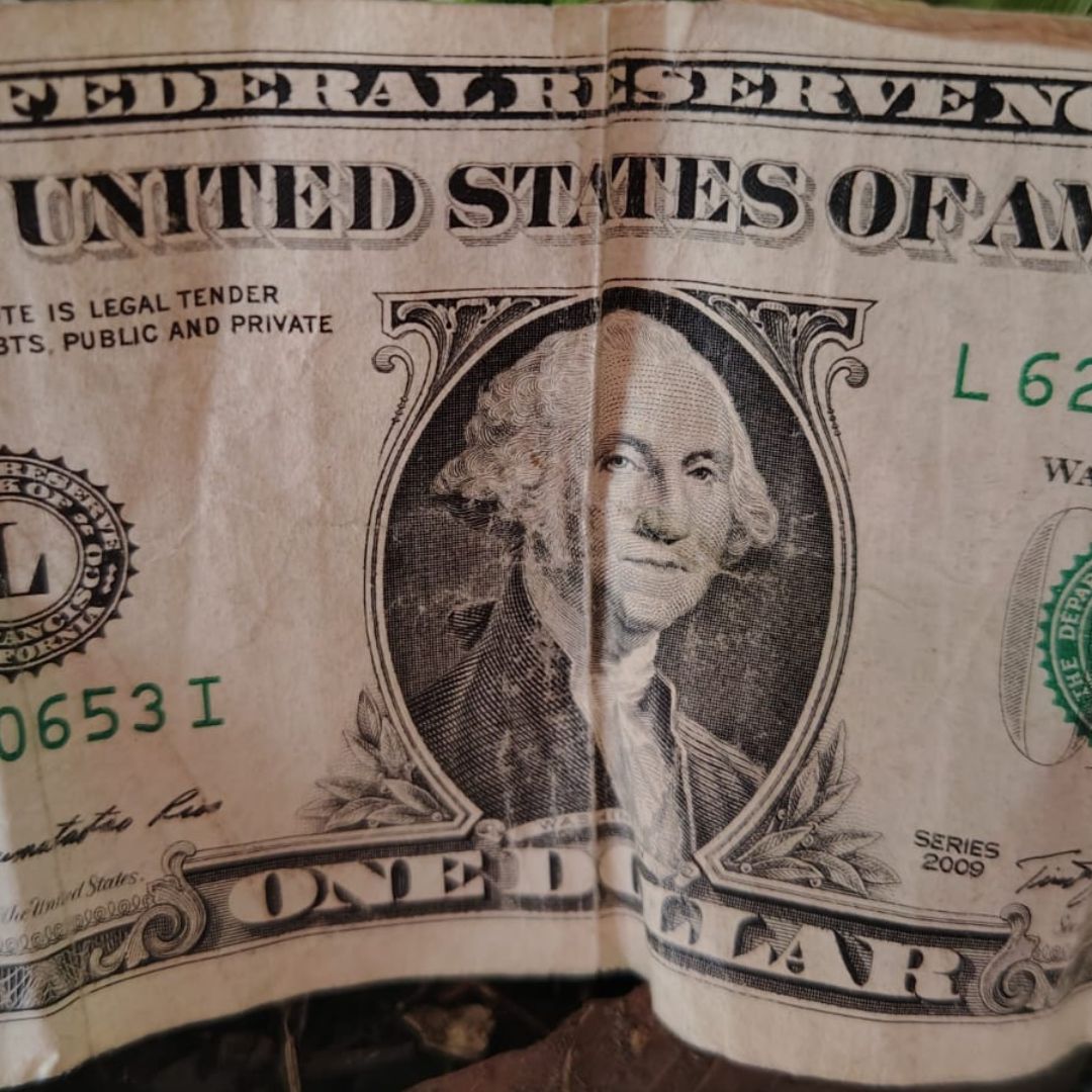 billetes de un dólar
