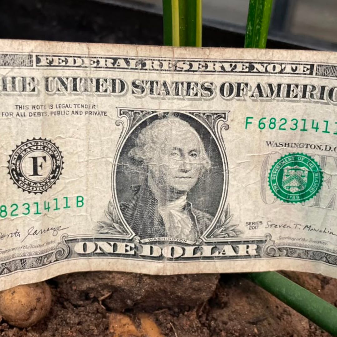El precio del dólar estadounidense cambia durante toda la jornada