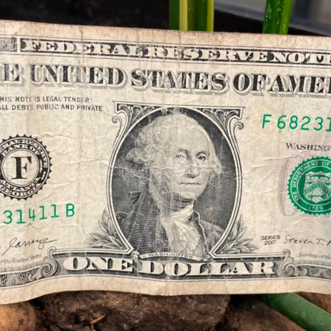 Un billete de un dólar estadounidense