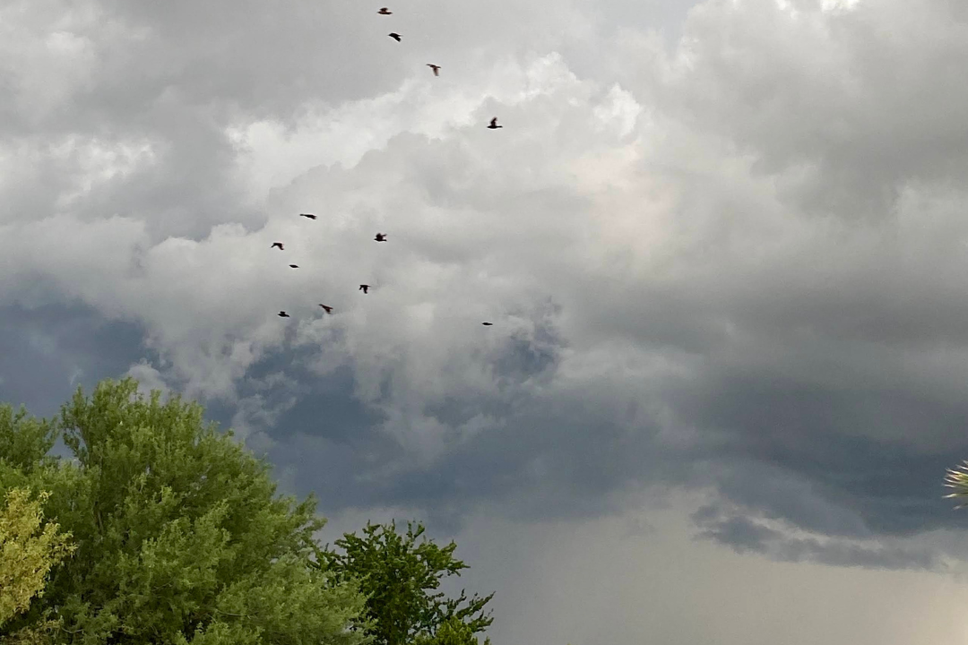 Pronóstico del Clima en Sonora: Lluvias Fuertes y Altas Temperaturas