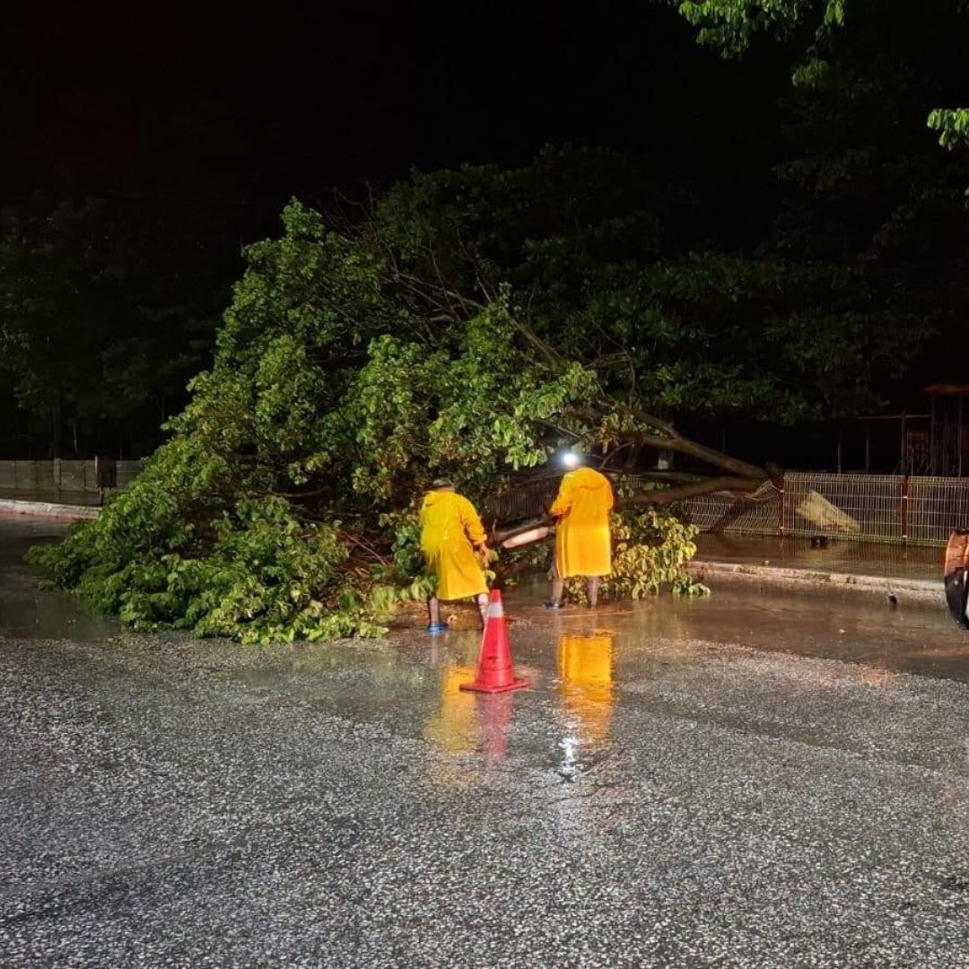 Elementos de Protección Civil retiran un árbol caído por las lluvias en Champotón, Campeche