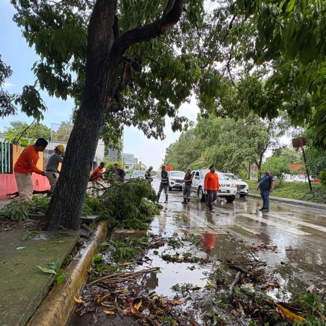 Elementos de Protección Civil de Tapachula retiran las ramas caídas sobre el asfalto