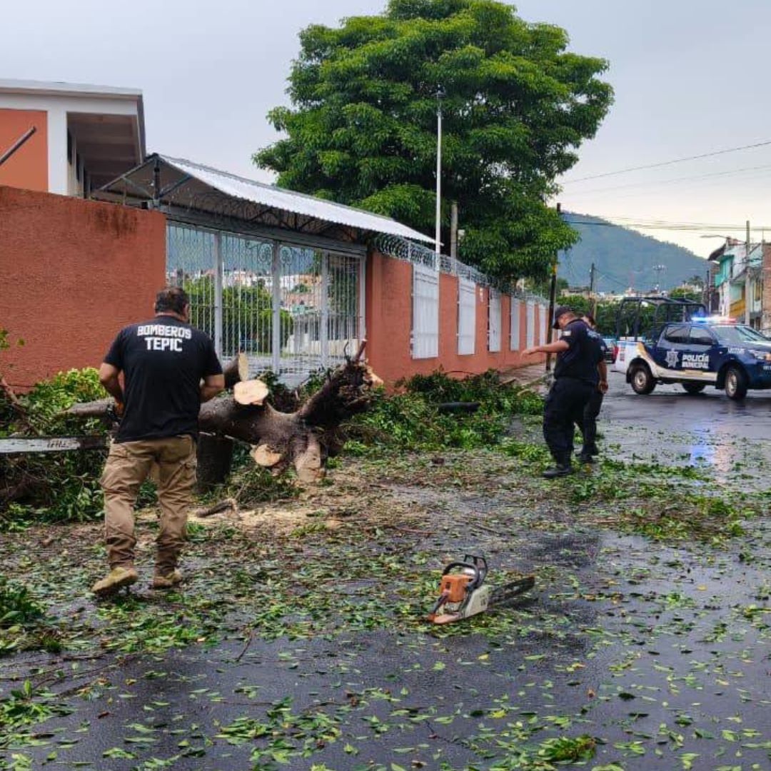 Elementos de Protección Civil de Tepic, Nayarit, atienden una emergencia por árbol caído