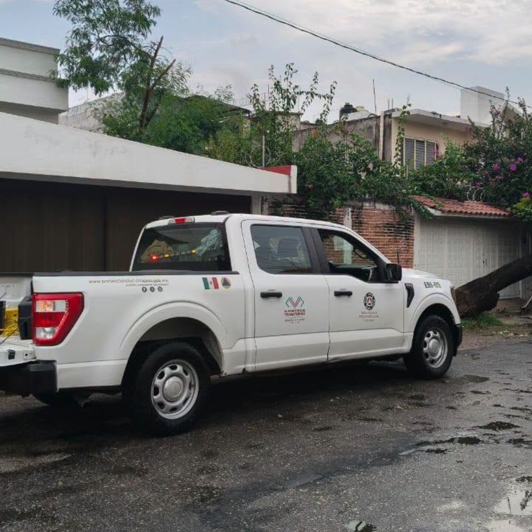Elementos de Protección Civil de Chiapas retiran un árbol caído en Tuxtla Gutiérrez