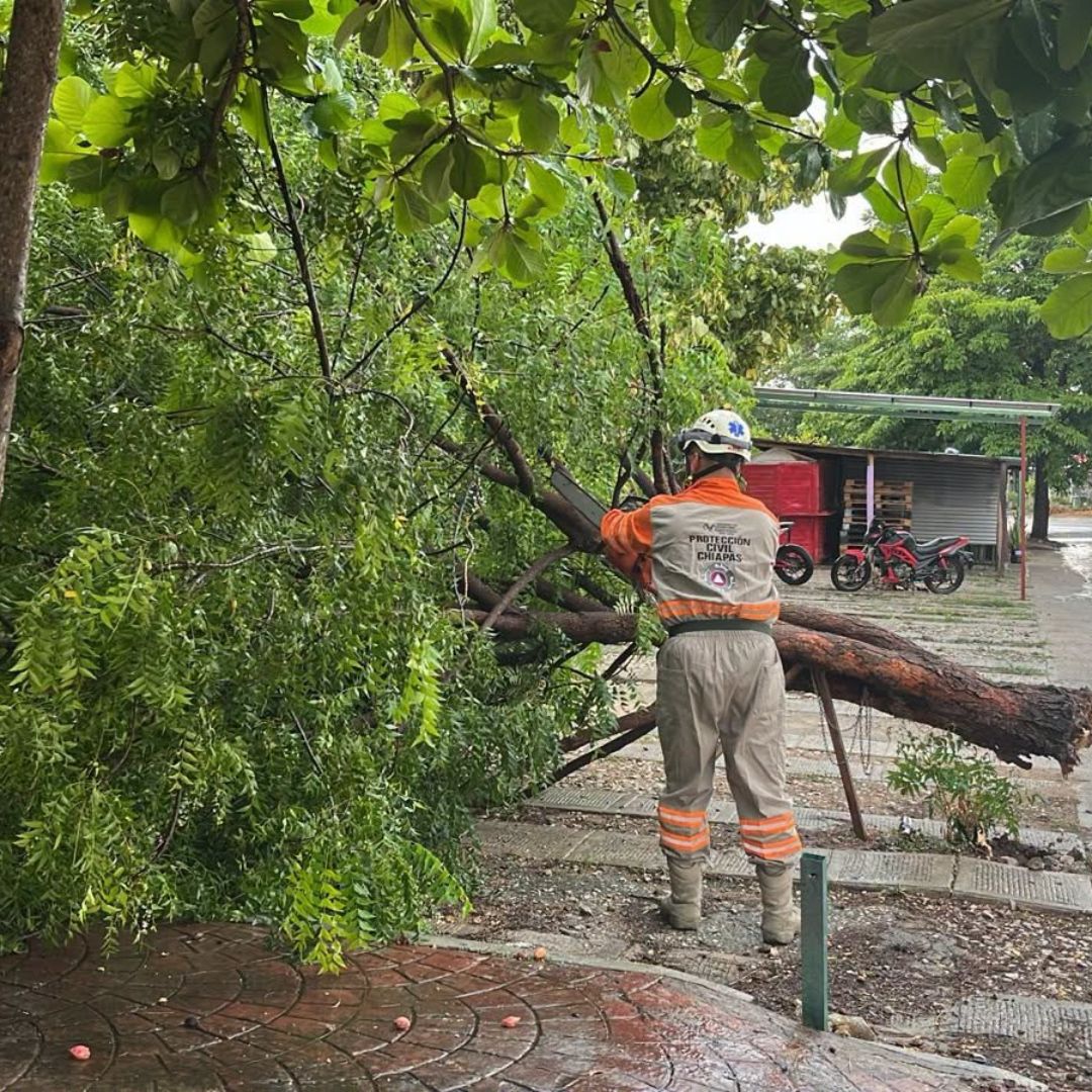Un elemento de Protección Civil de Chiapas retira un árbol caído