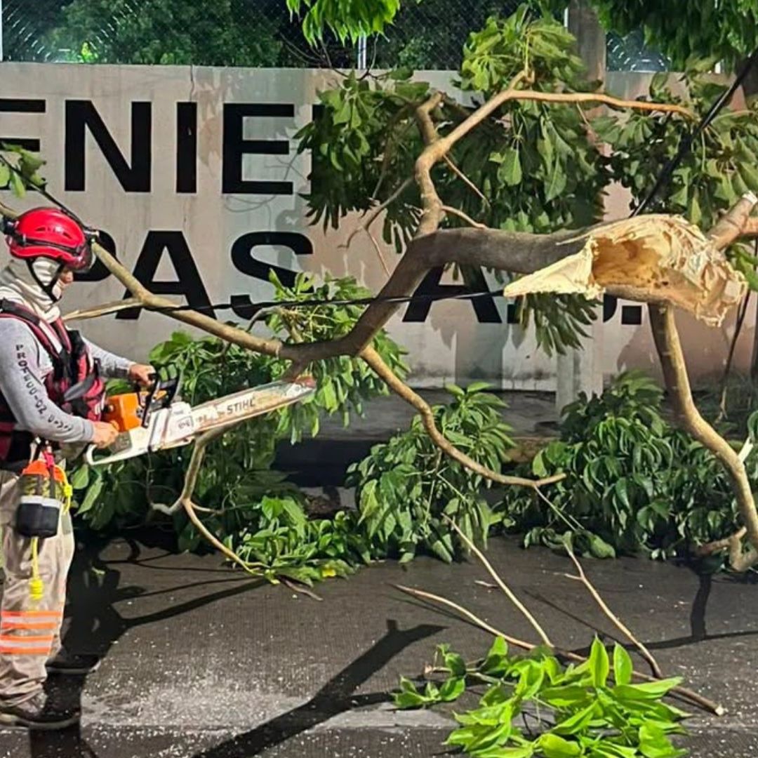 Un elementos de Protección Civil de Chiapas secciona un árbol caído debido a las lluvias y los fuertes vientos
