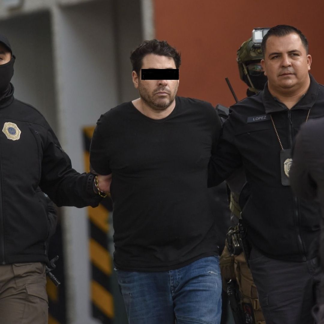Diego "N" está acusado de homicidio calificado múltiple, interrupción del embarazo y crueldad animal.