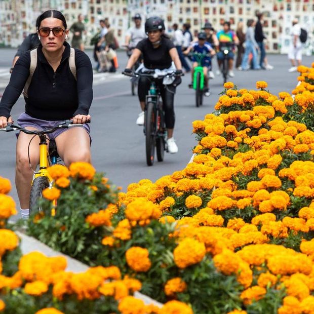 Personas en bici en Reforma.
