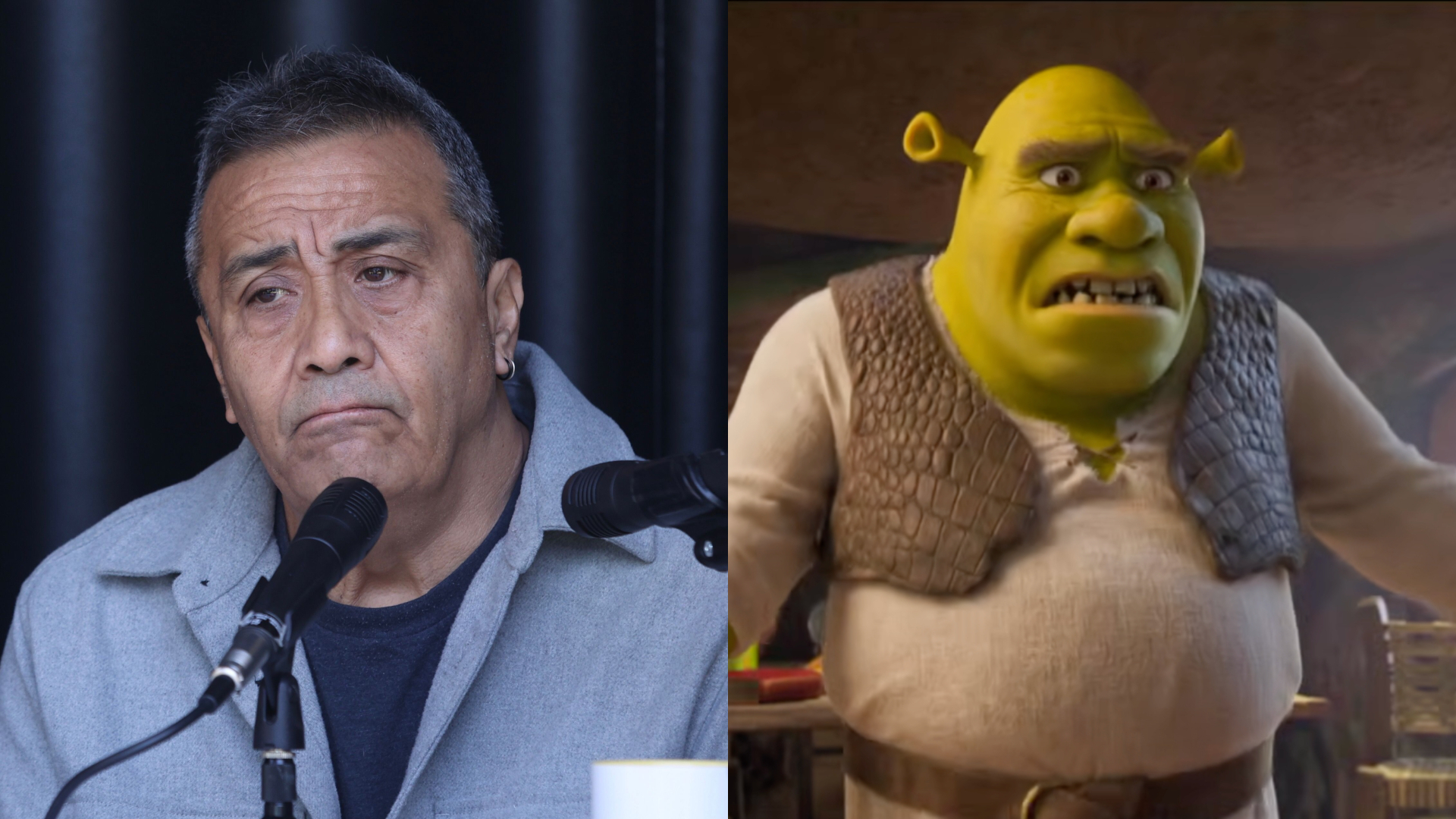Qué Pasó con Alfonso Obregón? Sus Polémicas y Por Qué Podría Volver al Doblaje de Shrek 5