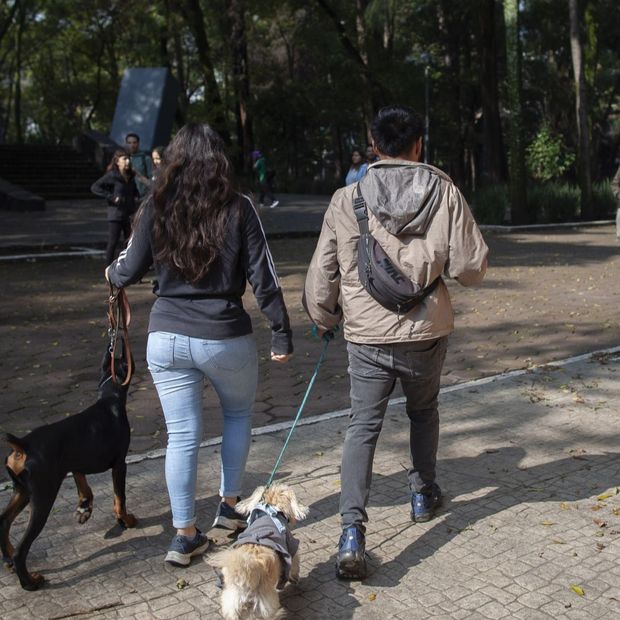Personas paseando perros en Parque España