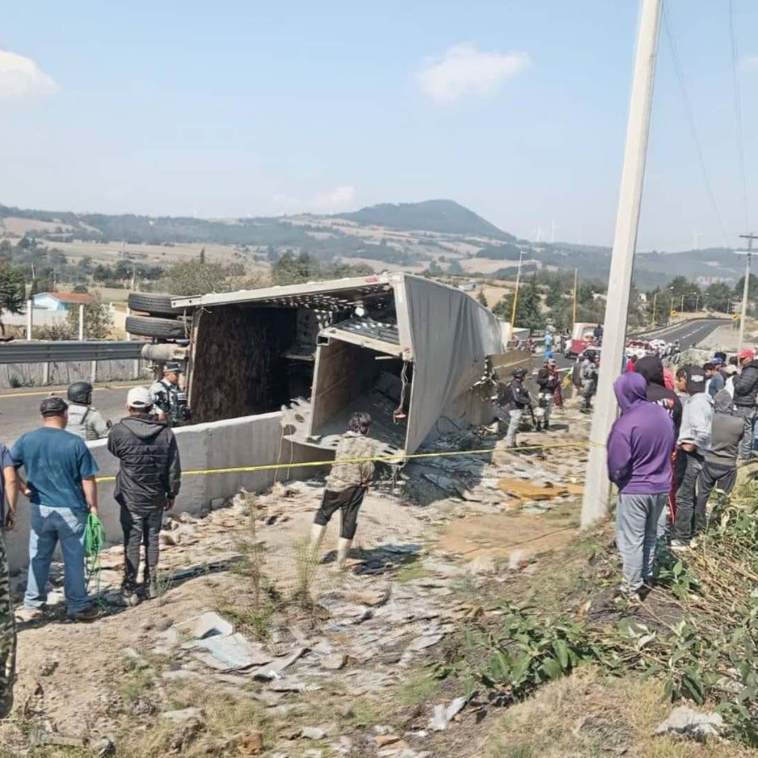 Volcadura de tráiler desencadena rapiña de animales en la Puebla-Orizaba.