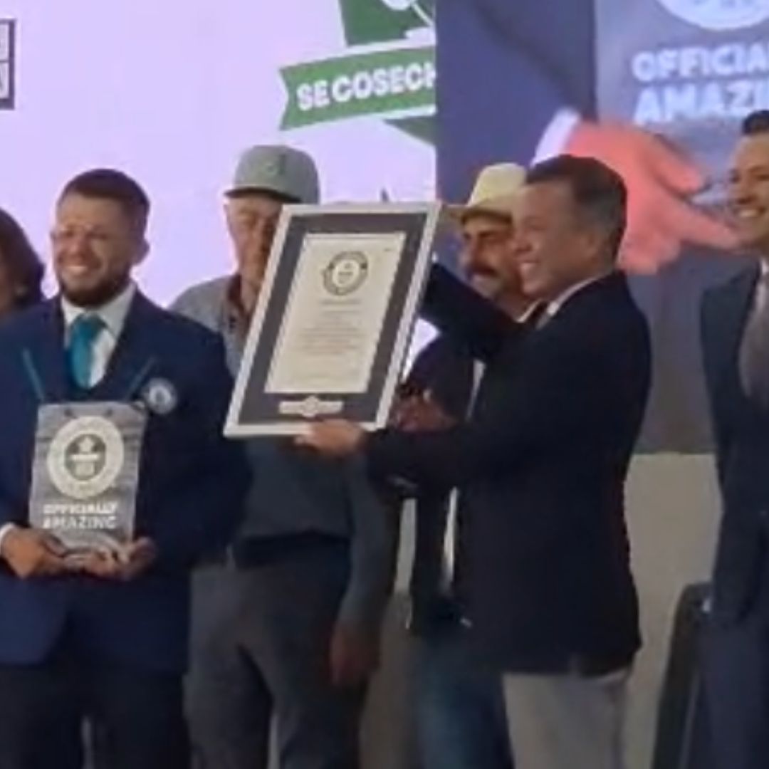Récord Guinness