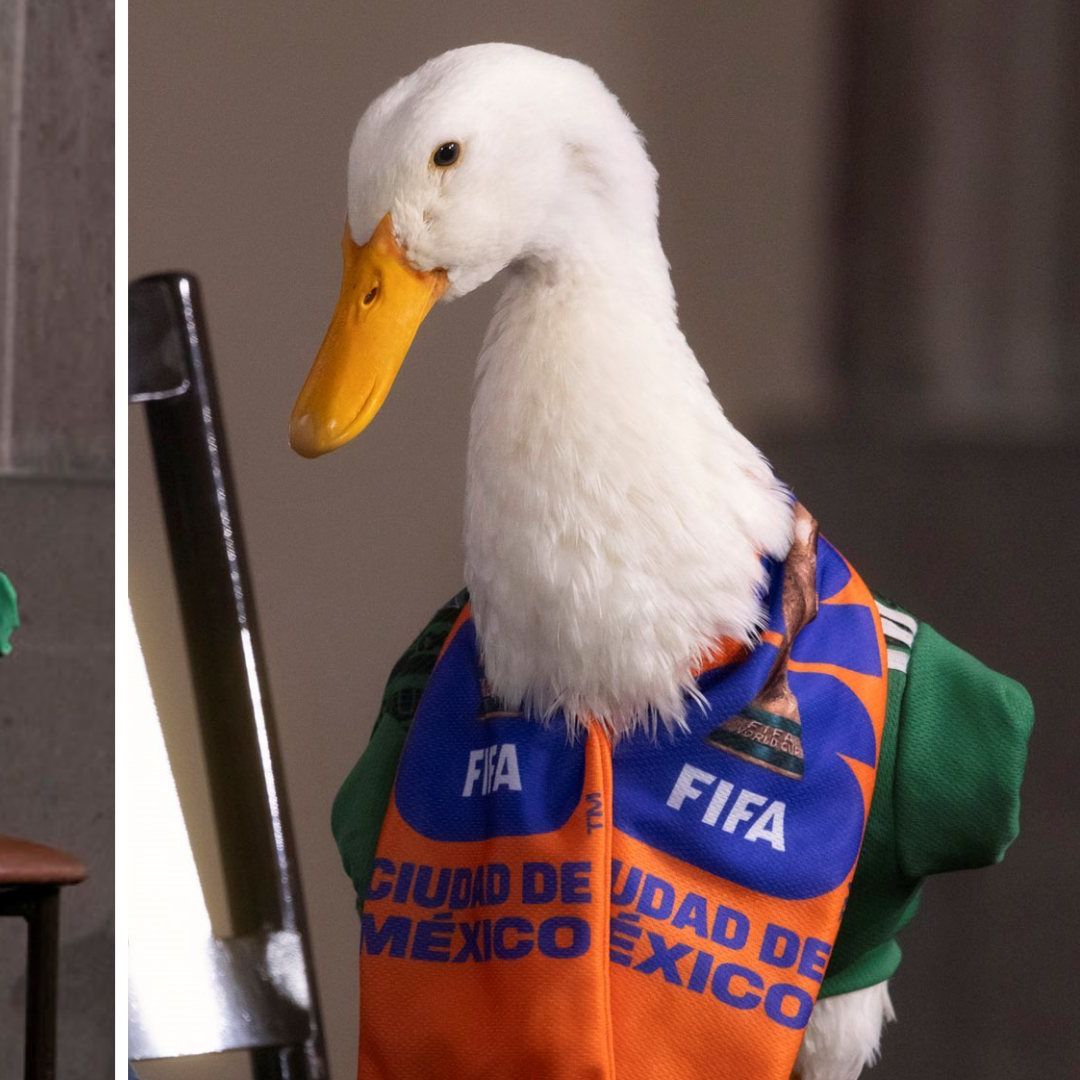 El pato Merlin, con la casaca de la selección de México, en la conferencia de prensa mañanera en Palacio Nacional. Foto: Presidencia de la República