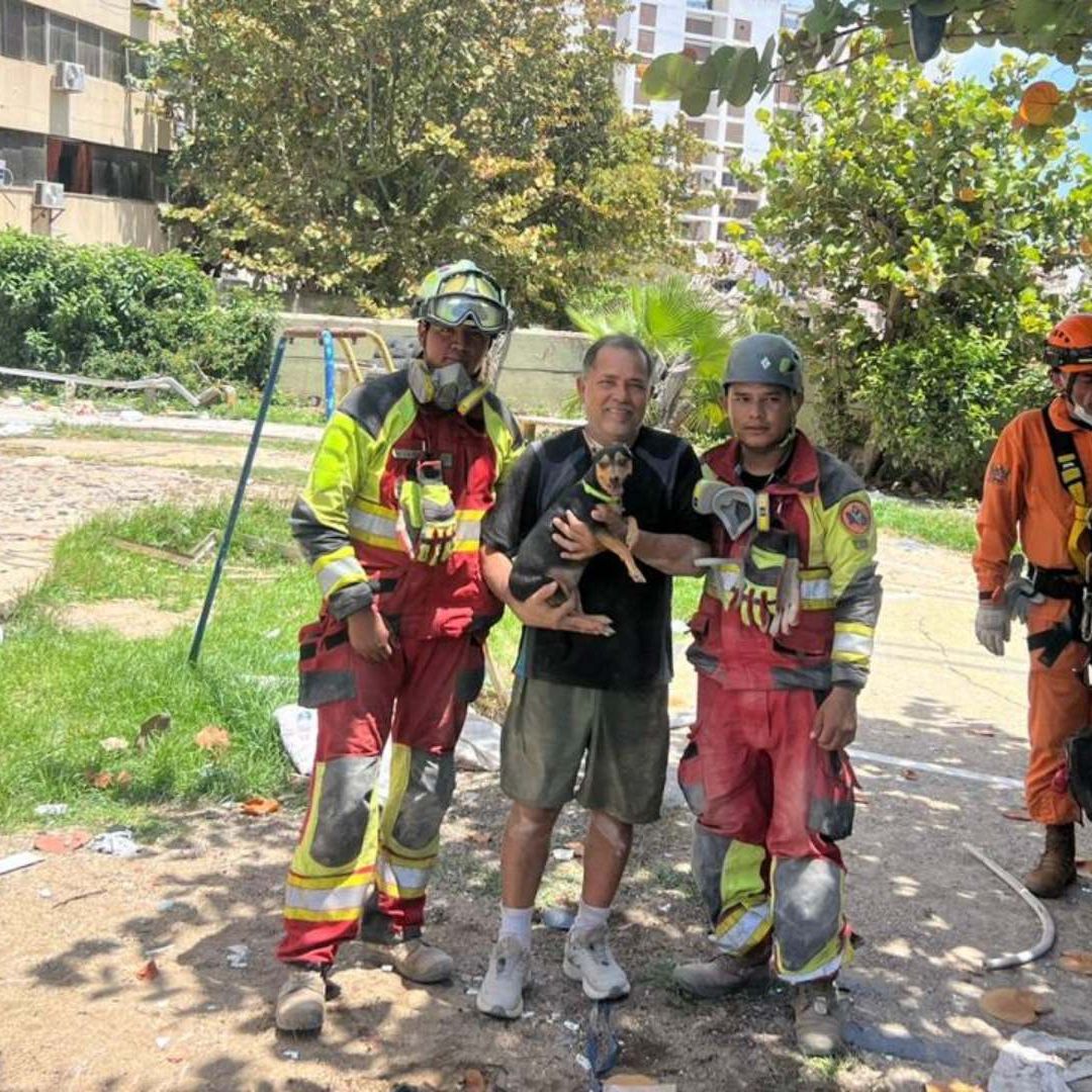 Rescate de una perrita durante labores en Venezuela tras terremotos del 24 de junio 2026. Foto: Defensa