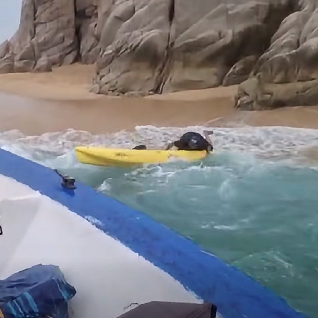Rescate de personas varadas en Los Cabos, Baja California Sur. Foto: Facebook @zofematloscabos