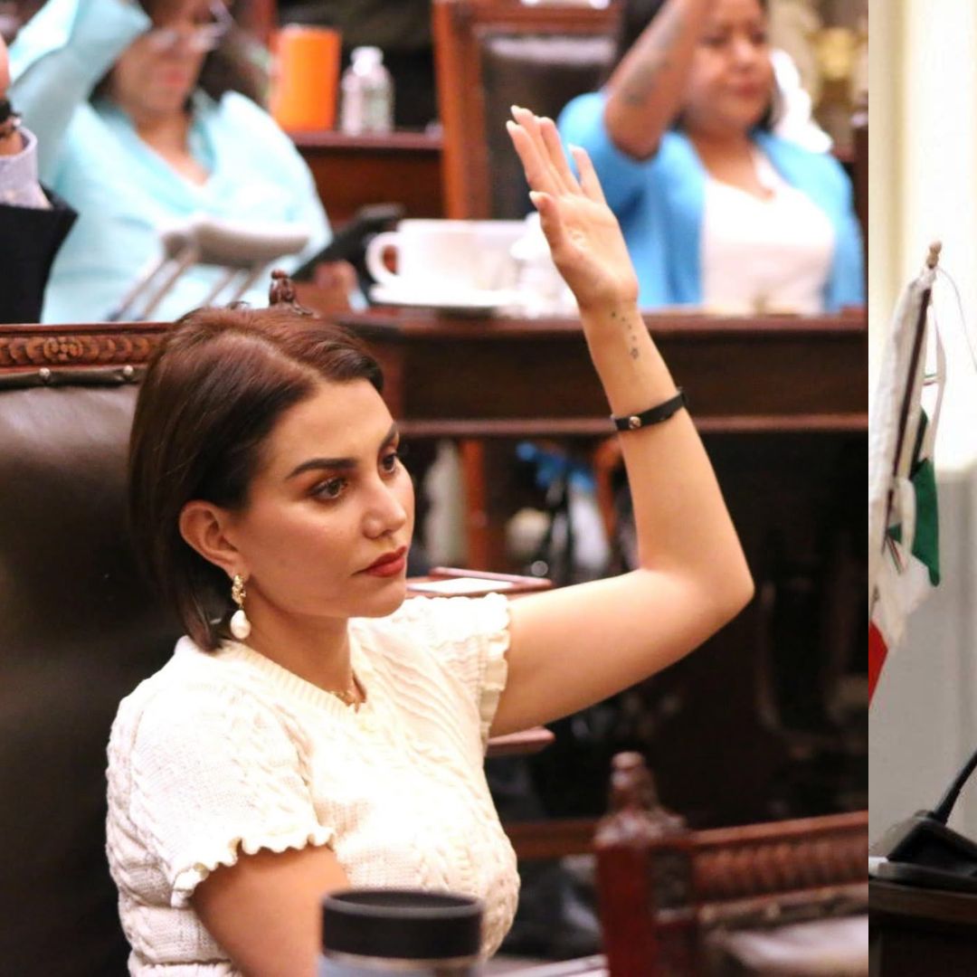 Suspensión Morena Diputadas Nayeli Salvatori Graciela Palomares Puebla Hombres Tercera Edad