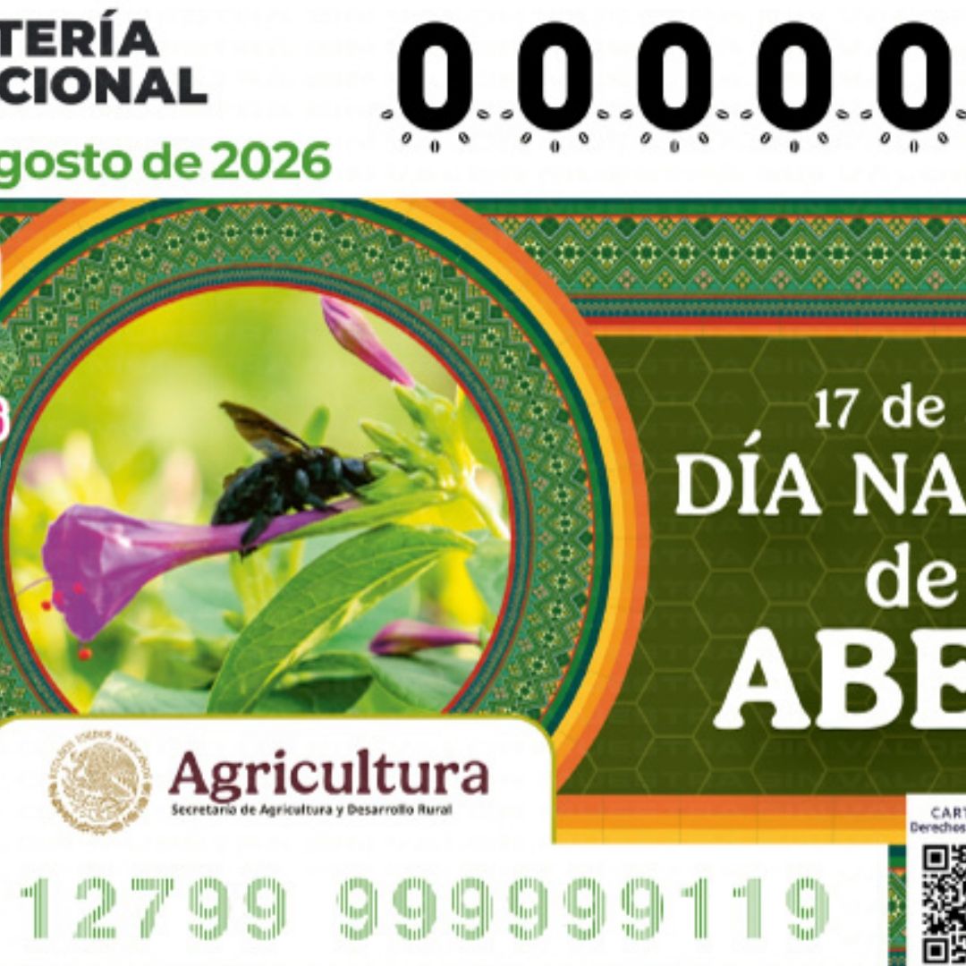Resultados de Lotería Nacional hoy 21 de agosto 2026 lista de números ganadores Sorteo Superior 2895
