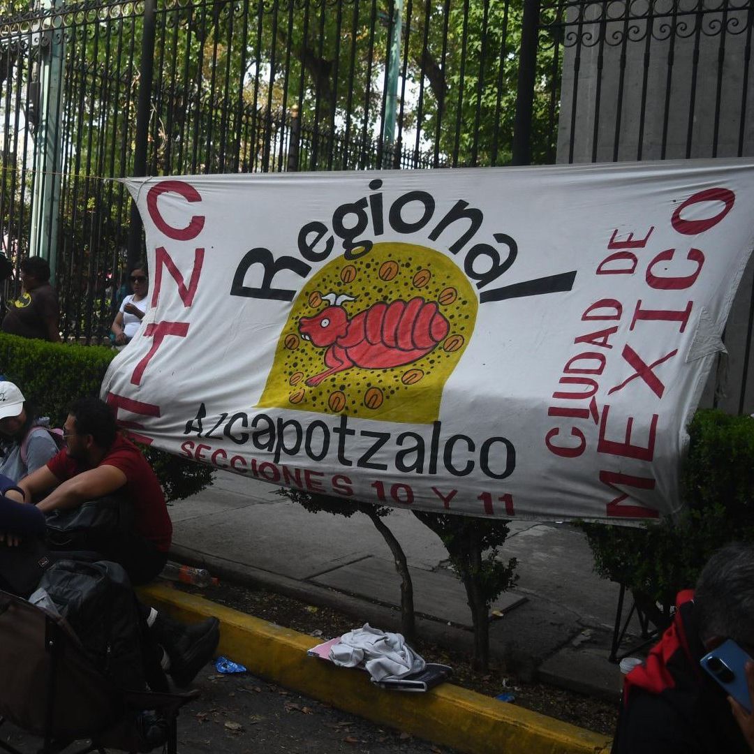 Integrantes de la CNTE en la Segob